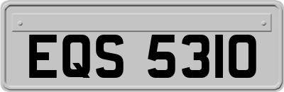 EQS5310