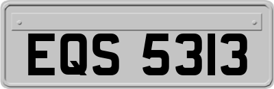 EQS5313