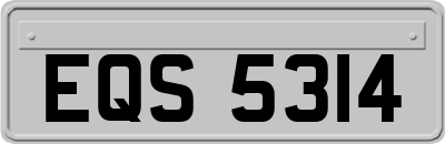 EQS5314