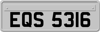 EQS5316