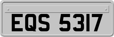 EQS5317