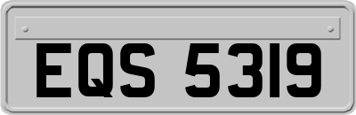 EQS5319