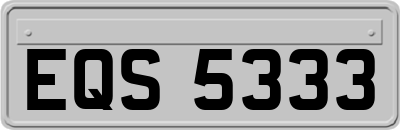 EQS5333