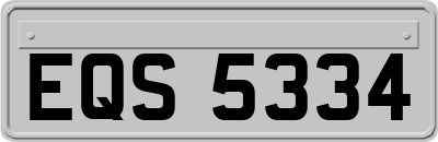 EQS5334