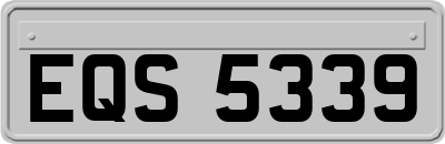 EQS5339
