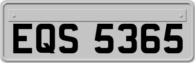 EQS5365
