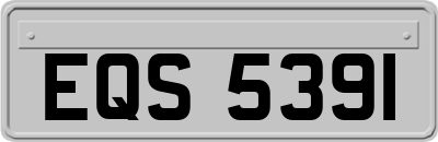 EQS5391