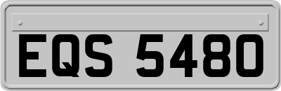 EQS5480