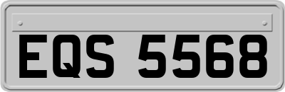 EQS5568