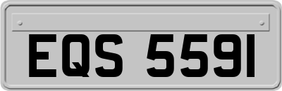 EQS5591