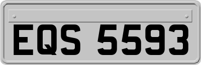 EQS5593