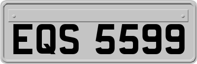 EQS5599