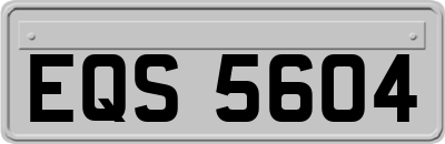 EQS5604