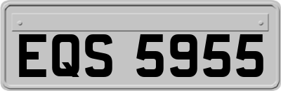 EQS5955