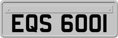 EQS6001