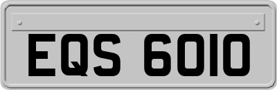 EQS6010
