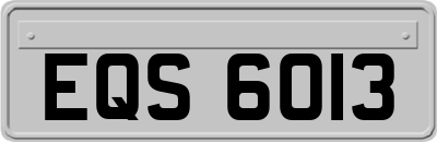 EQS6013