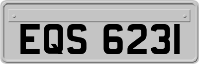 EQS6231