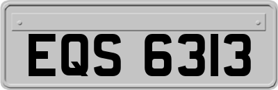 EQS6313