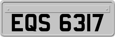 EQS6317