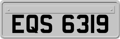 EQS6319