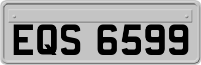 EQS6599