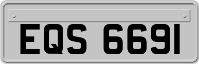 EQS6691
