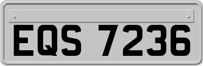 EQS7236