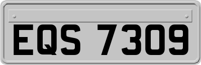 EQS7309