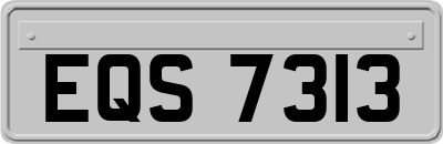 EQS7313