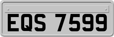 EQS7599
