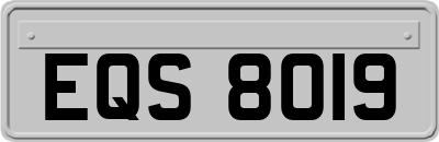 EQS8019