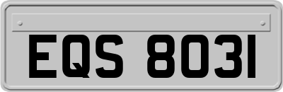 EQS8031