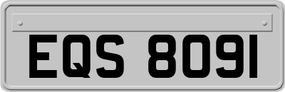 EQS8091