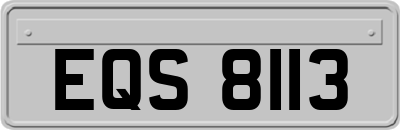 EQS8113