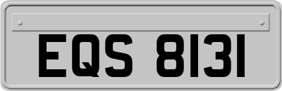 EQS8131