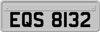 EQS8132