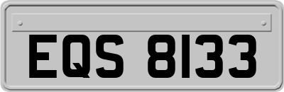 EQS8133