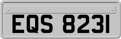 EQS8231