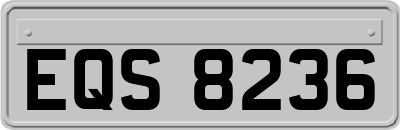 EQS8236
