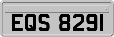 EQS8291