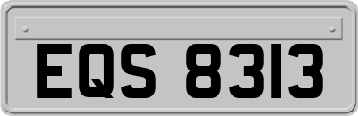 EQS8313