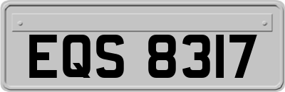 EQS8317