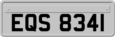 EQS8341