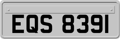 EQS8391