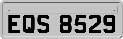 EQS8529