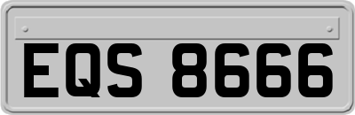 EQS8666