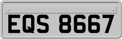 EQS8667