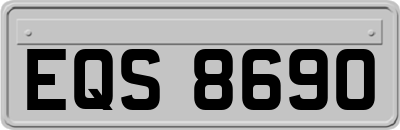 EQS8690