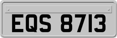 EQS8713